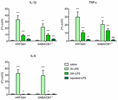 Cannabinoid 1 Receptor Signaling on Hippocampal GABAergic Neurons Influences Microglial Activity